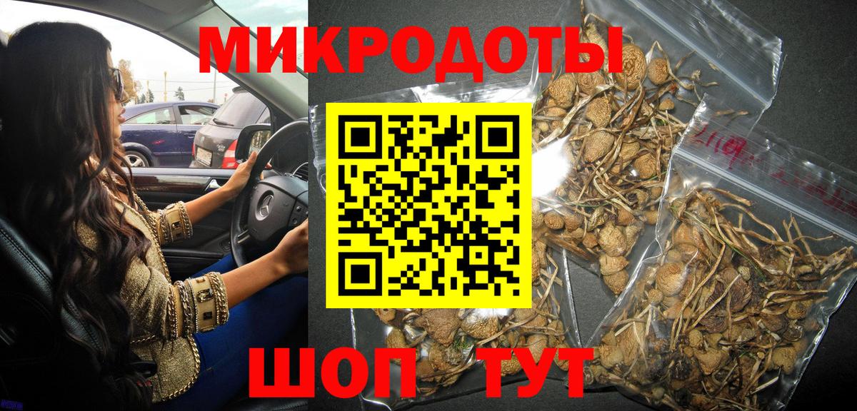 Волхов  Псилоцибиновые грибы мицелий  Галлюциногенные грибы ЛСД  Вход с VPN 