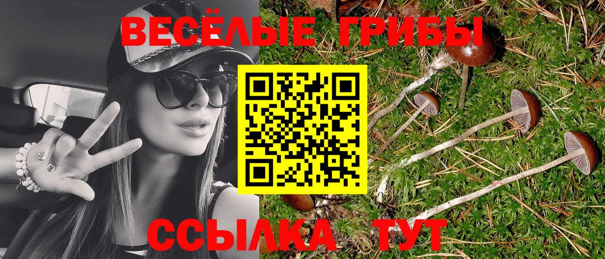Галлюциногенные грибы Magic Shrooms Волхов